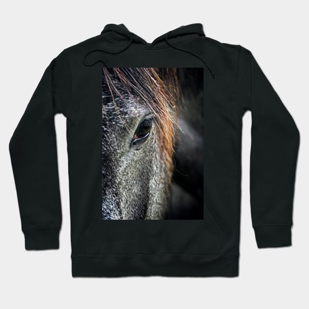 Eye Contact Hoodie by GeoffCarpenter